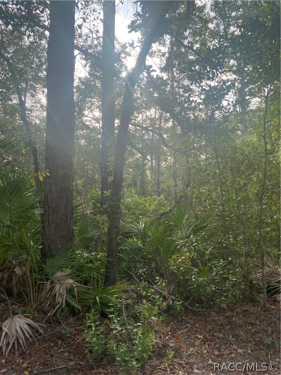 This nice wooded corner lot is ready for a new owner. The property is high and dry so no flood insurance needed, No HOA and No Restrictions and Mobiles are ok here! Come check out this property before it's gone. Shopping and amenities not far from property.