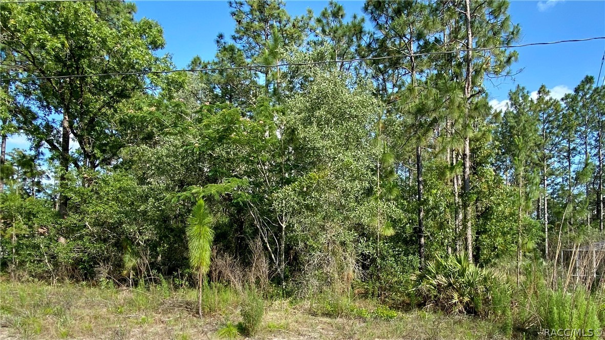 Great lot in Cypress Village. Wooded with greenbelt area to back of property.  Central location allows for easy access to Suncoast Parkway, community boat ramps to two rivers, medical offices and shopping.  Social/Golf membership is available, but not required.