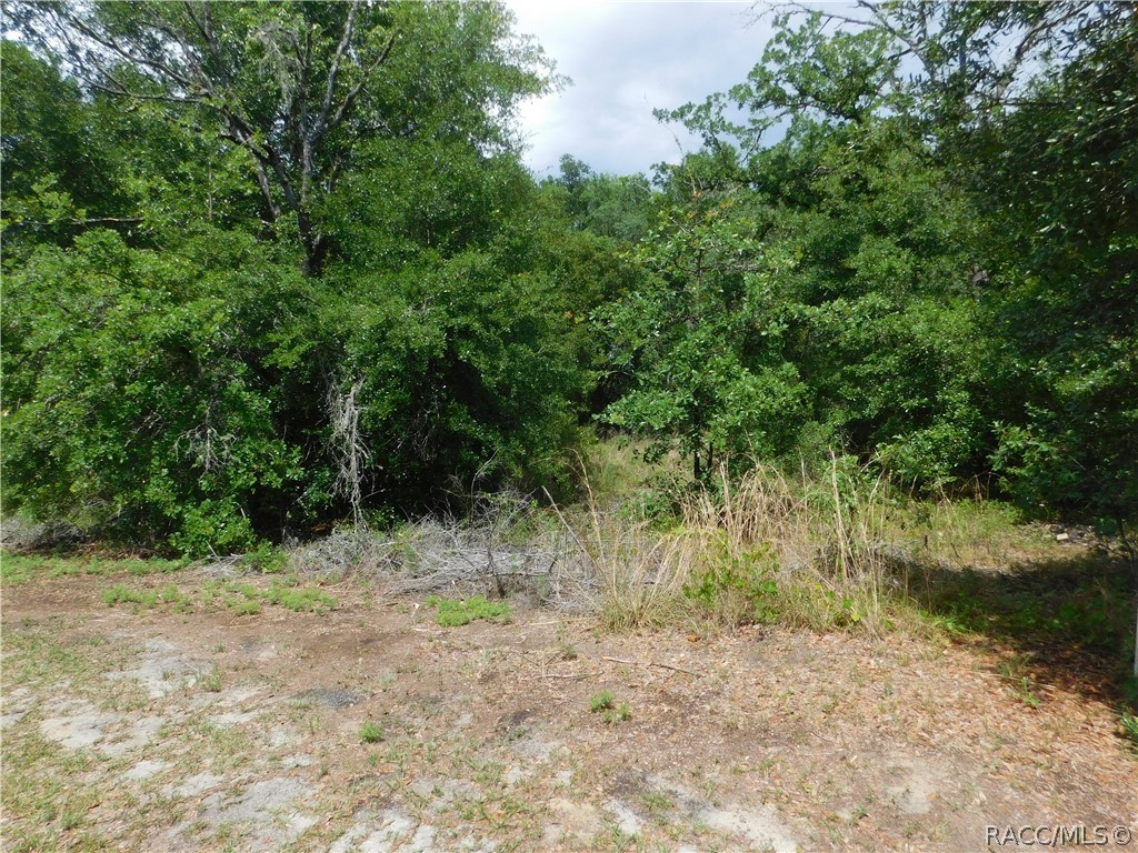 Wooded ½ acre lot on a paved road in a neighborhood of single family homes.  This is the perfect lot to build your dream home or to invest in a fast-growing community.  No HOA or deed restrictions.  Centrally located but near everything Citrus County has to offer.  Go there and check it out!