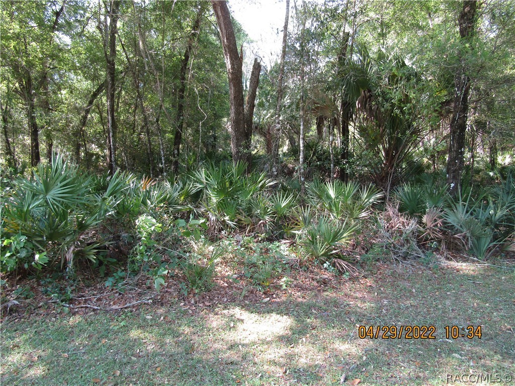 NICE QUIET NEIGHBORHOOD ON A PAVED ROAD. A BEAUTIFUL CORNER WOODED LOT ONLY 10-15 MINUTES FROM CRYSTAL RIVER OR DUNNELLON. EASY ACCESS TO LAKE ROUSSEAU, THE WITHLACOOCHEE RIVER OR EVEN THE GULF. EVERYTHING THE NATURE COAST HAS TO OFFER. ALL THIS AND STILL ONLY ABOUT AN HOUR AND A HALF TO TAMPA OR ORLANDO. WHAT MORE COULD YOU ASK FOR? IN ADDITION THER ARE 3 ADDITIONAL ATTACHED LOTS THAT ARE AVAILABLE WITH THIS LOT IF YOU WOULD LIKE MORE SPACE.