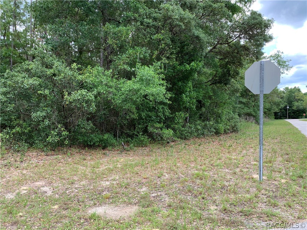 Beautiful Corner lot in Citrus Hills.  Great place to build that dream home.  Electricity nearby.  Go and see before it is gone.