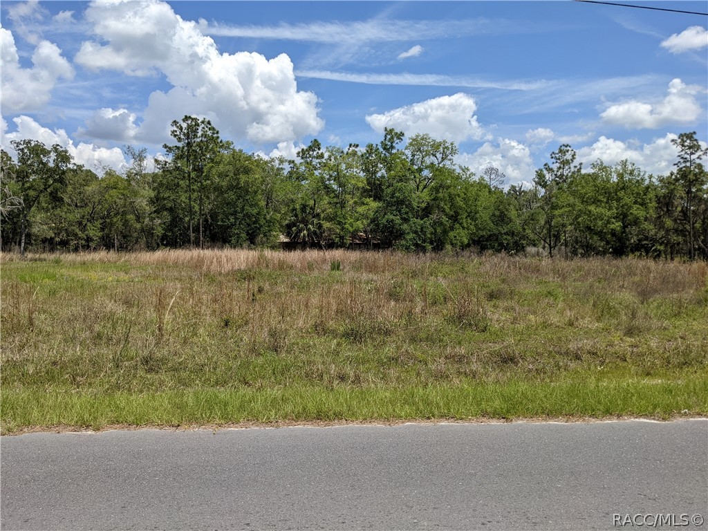 Here is your chance to own ~.23 acres in Inglis on a paved road in an area of homes only. Easy access to Dunnellon, Inglis, and Yankeetown. Build your home or hold it for later. Florida is one of the top destination spots in all of the Southeast currently. Are you going to take advantage of the opportunity? Well and septic needed. Power available. No high-speed internet or cable. Multiple waterways within the immediate vicinity.
