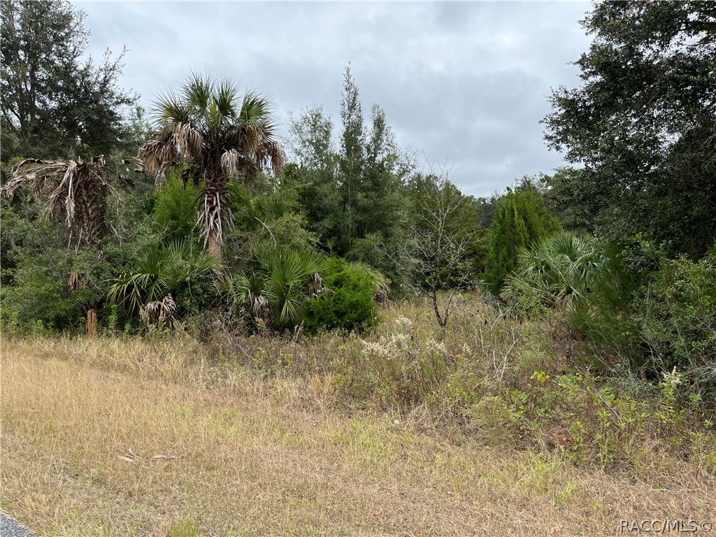 MIXED USE 1.27 Acres PSC+MDRMH. Build a house or place a double-wide next to your business-land (use 1700)-office use off highway/PSO. There is a state owned D.R.A. between this lot & busy highway 44. Near new Suncoast Parkway: 1 hour from Tampa. PSO is .35 acres, MDRMH is .94 acres