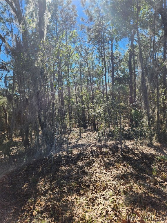 Beautiful treed lot in Nice Neighborhood of Homes. No HOA. Centrally located in Citrus County for easy commute to stores and schools. Citrus County offers the residents bike trails, hiking trails, golf courses, lakes on the east side & the Gulf of Mexico on the west side. Come check out your new home site!
