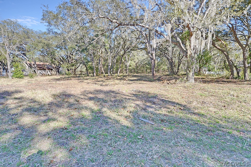 CITRUS COUNTY CITRUS HILLS Located in the beautiful community of Citrus hills with well-maintained homes with low HOA Fee.  Great looking 1.20 acre partially cleared for home site with Florida foliage and mature trees remaining. Peaceful location. Not in a flood zone. No water issues. Zoned for single family homes only. Room for a Pool, R/V Boat and all your toys and outbuilding. Close to lakes, rivers and the Gulf of Mexico. Enjoy boating, with public boat ramps available for fishing and kayaking for you to enjoy a great lifestyle. Convenient to the Suncoast Parkway with a direct route Tampa and Tampa international Airport.