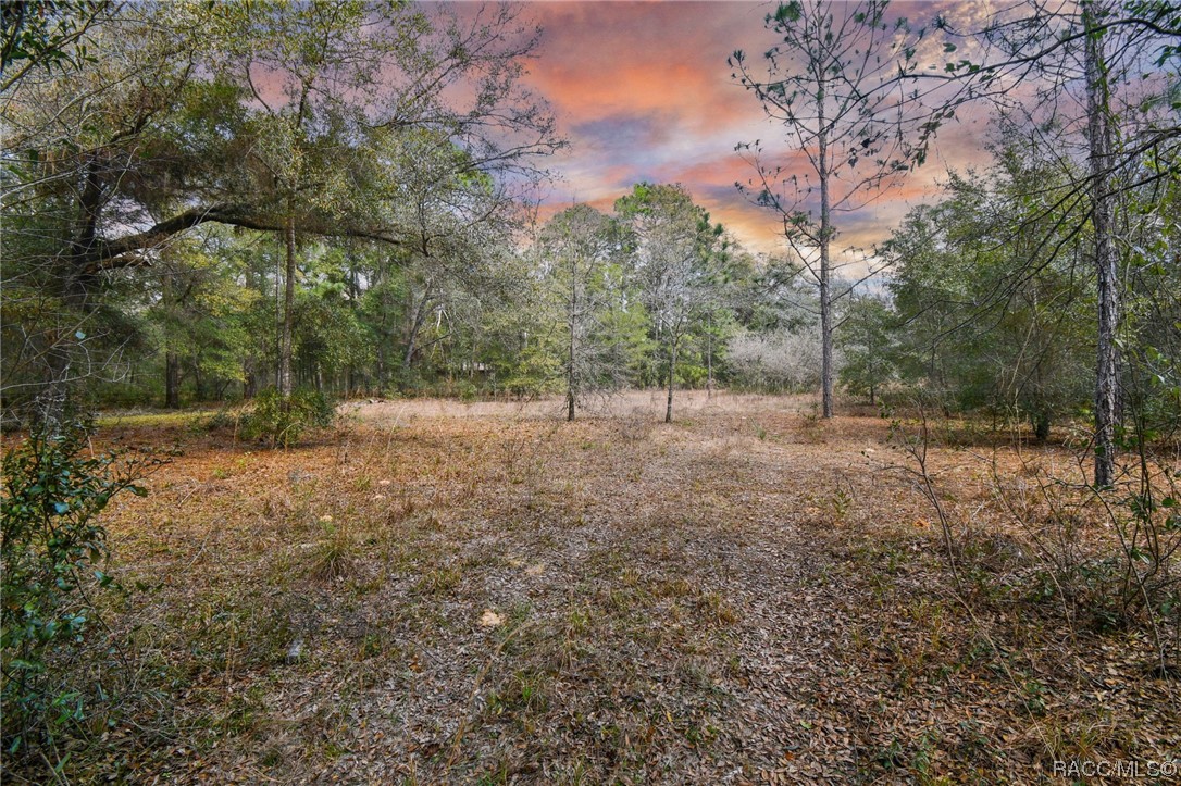 Fly down to Carib and settle in! Check out this beautiful lot nestled in the heart of the Nature Coast. Check out this beautiful spacious lot nestled in the heart of the Nature Coast. This one is sure to catch your eye. 4.9+ acres will allow for mobile homes, single family homes, farms, barndominims etc. Build your dream home with lots of PRIVACY in a centrally located area. Close to shopping, right by the new Target, Ulta, Starbucks, Texas Roadhouse and more, parks and beautiful downtown areas to explore near by. There are several hiking trails and outdoor activities located all around. The famous crystal clear springs of crystal river (home of the manatees and notorious scallop capital of central FL) You will be close enough to the water to enjoy and far enough away to avoid any flood zone areas. There are plenty of fantastic options when it comes to locally owned cuisine and shops that are sprinkled throughout the area. Citrus County is an amazing area for YOU to call home. No HOA, which allows for you to have farm animals. The centralized location makes for a short trip to Ocala, Gainesville, Tampa, St Pete, Orlando and the rest of the beauty that Central Florida has to offer. You will not want to miss out on this exclusive limited opportunity!