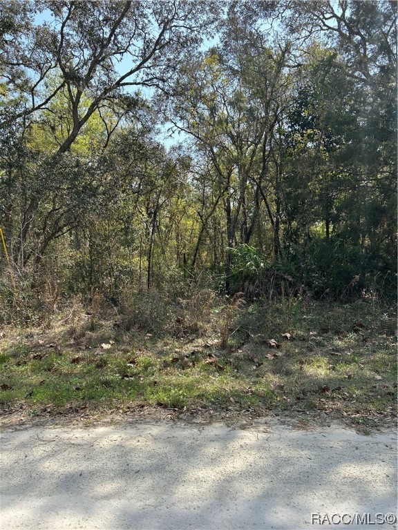 Wooded Homosassa vacant lot in an established neighborhood! This lot is just over half an acre (0.53 acres) and is zoned for mobile or site built homes. If more land is what you are dreaming of, check out the neighboring lot (6688 W ARLINGTON PL) also listed for sale (see MLS#821958) for an additional 0.53 acres. Nestled in a country setting but a short distance to shops, restaurants, medical facilities and local attractions.
