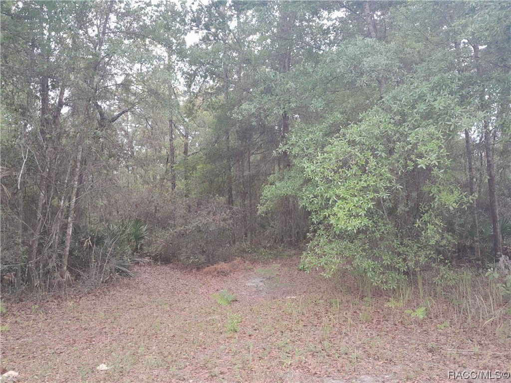 If you're searching for a home, but the perfect one doesn't seem to exist, why not build it yourself? This half-acre lot in Crystal River is waiting for you! It's an idyllic country setting, a perfect place for someone seeking a lifestyle where you can slow down and relax, but still have plenty of amenities accessible. There are no HOA fees or deed restrictions to contend with in this quiet neighborhood, and the zoning allows for mobile homes. The wooded parcel is situated at the end of the street and backs up to more vacant property - no rear neighbors. And, you could even purchase the adjacent lot directly to the south and combine them for a property that would total just over a full acre! It would give you all the room you need to create the homestead you've been dreaming of. Crystal River, the manatee capital of the world, is known for its spring-fed rivers, plentiful fishing, stunning forests, and amazing restaurants. In fact, the famous Three Sisters Springs is only 5 miles away; and while it's temporarily closed for restoration until the fall, nearby Hunter Springs Park offers stunning views, swimming, a small craft launch and more. And while you're in the downtown Crystal Springs area, you can stop in at one of the popular restaurants, like The Boil Yard, Cedar River Seafood, Cajun Jimmy's Seafood Seller & Cafe, or Kelly's Half-Shell Pub. This lot is also centrally located between US-98 and the Suncoast Parkway, so access to Cedar Key, Homosassa, Spring Hill, Clearwater, and Tampa is convenient. Build your rural home here, and create your own haven. Drive by to see the lot today!