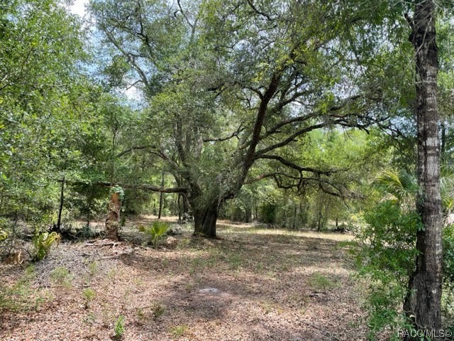 Nice level tract with beautiful shade trees in popular Crystal Manor.  Just a short drive to waterways, boat ramps, trails and all the Nature Coast has to offer.  Build your dream home here!