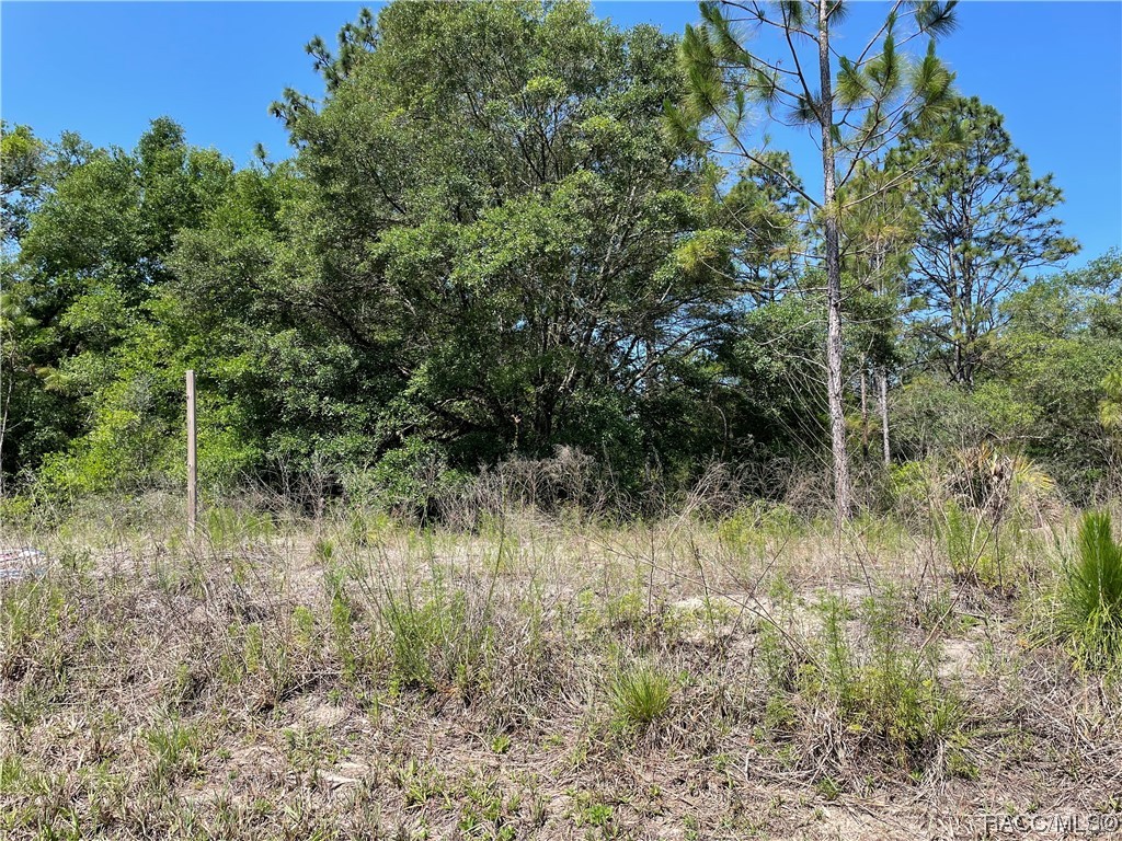 Crystal River!!  1 acre lot, not in flood zone, high and dry above the crown of the road, homes only area allowing site built, modular or tiny home (no mobile homes), 100x466, zoned rural residential, animals allowed, lightly wooded,
