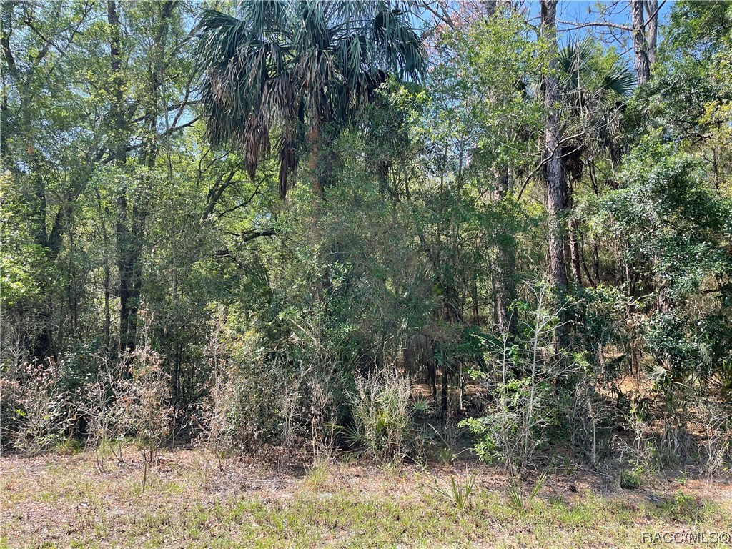 Crystal River!!  Lot size is .29 of an acre, needs well and septic, not in flood zone, Crystal River schools, located within 5 minutes of downtown Crystal River, high and dry, enjoy the Nature coast with kayaking, boating, hiking and swimming with the manatees