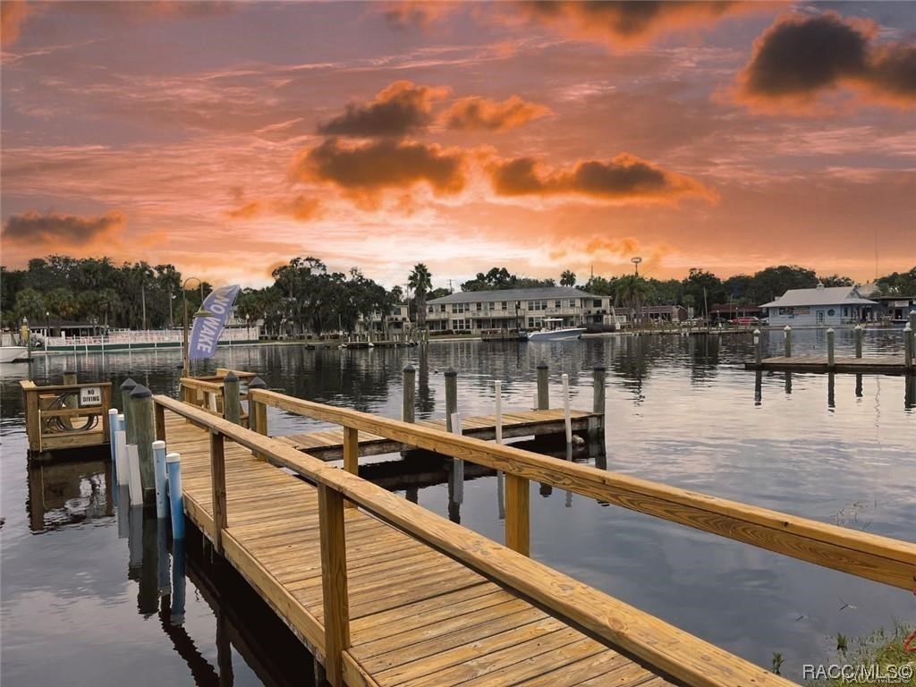 Enjoy waterfront living without the worries of homeowner maintenance! This townhome is located in the very sought-after community of Sportsman's Lodge and is located on the main Homosassa River with open views of the river and Monkey Island. Walking distance to Crumps Landing Restaurant. This unit is only a 1-minute walk to the river/boat docks and features 1200 square feet of living area with 2 bedrooms, 2 bathrooms, large family room with a wood-burning fireplace, 2 screened balconies, a spacious kitchen and bathrooms, and a 1 car garage. This townhome is being sold turnkey with all furnishings included, minus personal items. The community amenities include a riverfront swimming pool and 3 docks with fish-cleaning stations, bench seating, kayak racks, and an ice machine. The monthly fee includes flood insurance, water, sewer, trash, pest control, cable, lawn service and exterior building maintenance. These units do not come on the market very often so call today to schedule your appointment before it's gone.