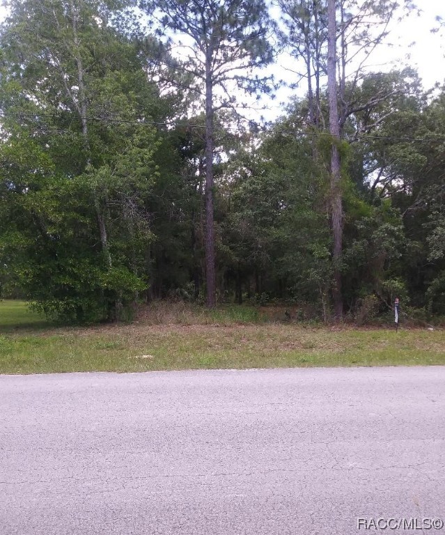 Beautiful Level ACRE Lot with nice mix of trees on County Paved Road in area of Lovely Homes located in very desirable Timberlane Estates Subdivision.  Property is conveniently located near many Amenities including Restaurants, Shopping, Golf, Tennis, Medical Facilities, Suncoast Parkway, New YMCA facility, and other Conveniences. A wonderful site for your NEW Home.