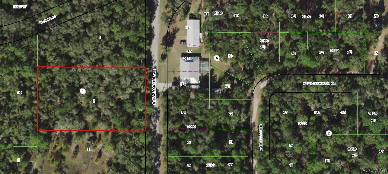 NICE QUIET NEIGHBORHOOD. A BEAUTIFUL WOODED LOT ONLY 10-15 MINUTES FROM CRYSTAL RIVER OR DUNNELLON. EASY ACCESS TO LAKE ROUSSEAU, THE WITHLACOOCHEE RIVER OR EVEN THE GULF. EVERYTHING THE NATURE COAST HAS TO OFFER. ALL THIS AND STILL ONLY ABOUT AN HOUR AND A HALF TO TAMPA OR ORLANDO. WHAT MORE COULD YOU ASK FOR?