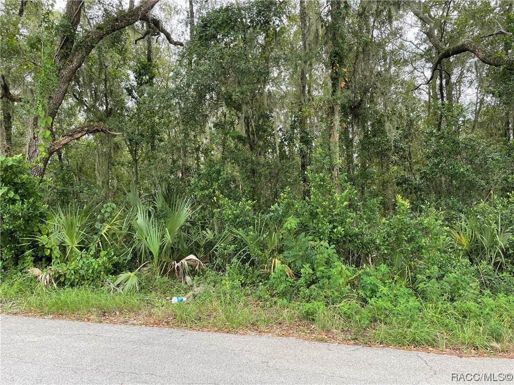 Crystal River!  3 buildable lots side by side, mobile homes or site built homes allowed, high and dry, paved road, not in flood zone, needs well and septic, Rockcrusher elementary and Crystal River middle and high, walking distance to shopping, lot size is .83 of an acre total, lot dimension is 250x145