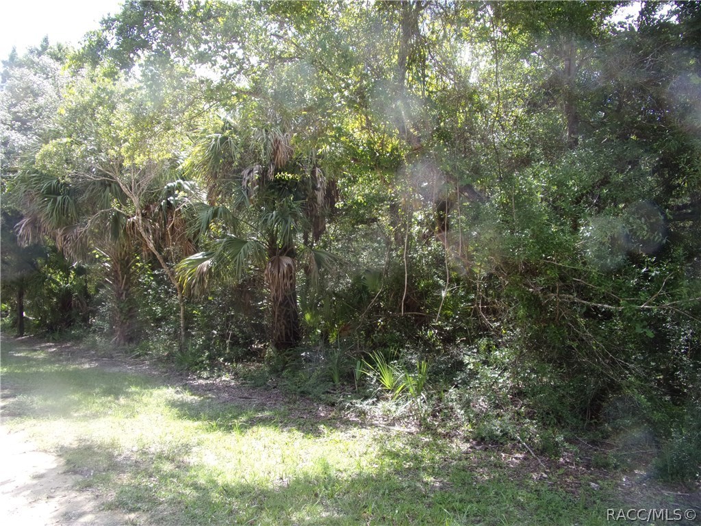 ENJOY OLD FLORIDA LIVING ON THIS PRETTY WOODED 1.27 ACRE  IN CASON INGLIS ACRES,  RURAL , LOCATED IN THE QUAINT AREA OF INGLIS AND YANKEETOWN, NEAR TO THE WITHLACOOCHEE RIVER AND THE GULF OF MEXICO. QUIET  PEACEFUL AREA, GREAT FOR THE FISHERMAN AND HUNTERS
LOT 13 ALSO AVAILABLE    SEE MLS   793669