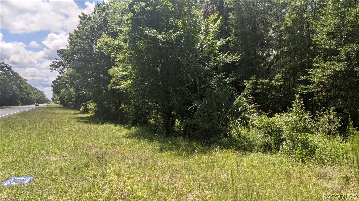 10 acre parcel on Hwy 19.  Property about 12 miles North of Inglis.  Near Gulf Hammock with lots of good fishing and hunting.
.