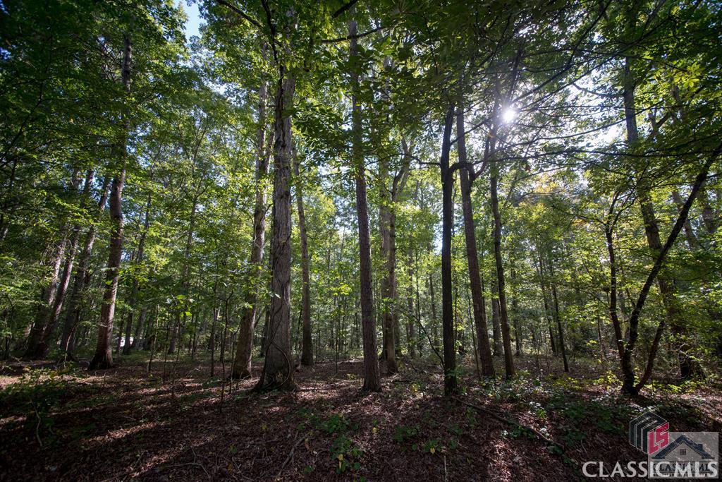 2.63 acres with lovely hardwoods just over the Jackson County line! This private lot with gentle slope could be the perfect place for your custom home. The back line of the property is a creek. With this lot touching the cul-de-sac and only one other street, the cars would be minimal. And the convenience to amenities is phenomenal! Just a 15 minute drive gets you to downtown Athens, restaurants, grocery stores, drugstores and more! See the attached plat for size and shape of the lot. Don't miss out on this beautiful spot in the well established Belle Spring neighborhood!