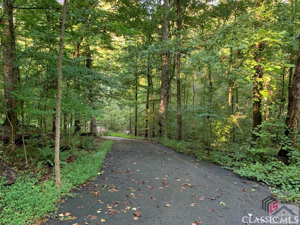 Great location in the cul-de-sac for this peaceful 3.95 acre setting! A bubbling creek provides a perfect lot line and take note of all of the mature foliage that surrounds the homesite. Power, well and septic are already onsite from a previous structure. This beautiful setting is 10 minutes to schools and a simple 25 minutes to Athens Tech/Kroger Marketplace area. Choose your floorplan and claim this haven today! NOTE: The property is on a gravel road, but the driveway is already paved. Currently, a shed is on the property and that is being removed ASAP.