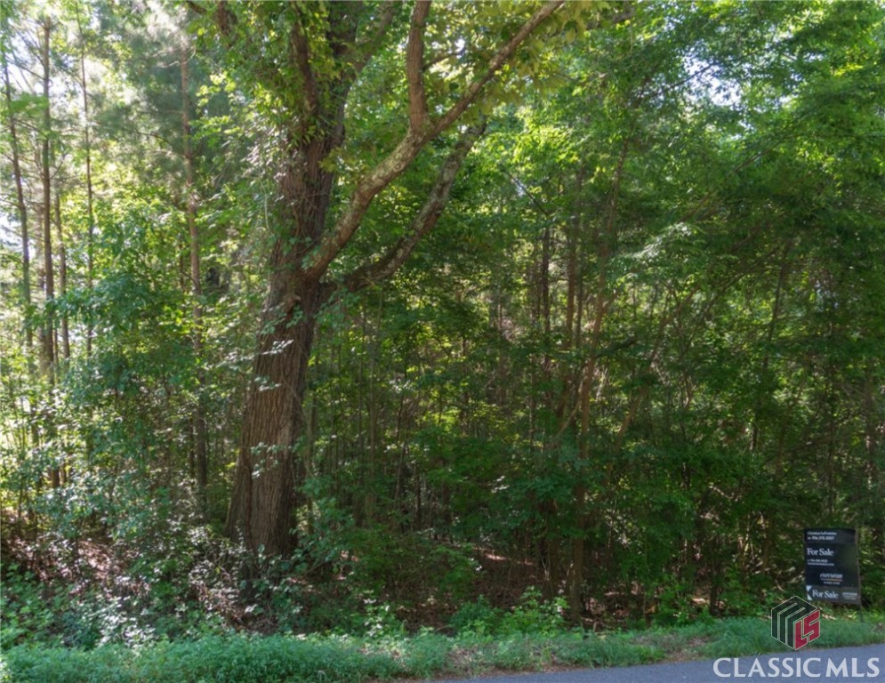 Large Wooded Lot over an acre in residential neighborhood ready for your custom home! Athens-Clarke County (ACC) Planning and Zoning says that it's zoned RS8. No manufactured homes allowed. All plans will need ACC approval. Soil test for septic permit was completed previously, but ACC says that new soil test will likely be needed as it was done for a particular floorplan and a new one will go with new plan. This lot touches both Rustwood Drive and Live Oak Court.