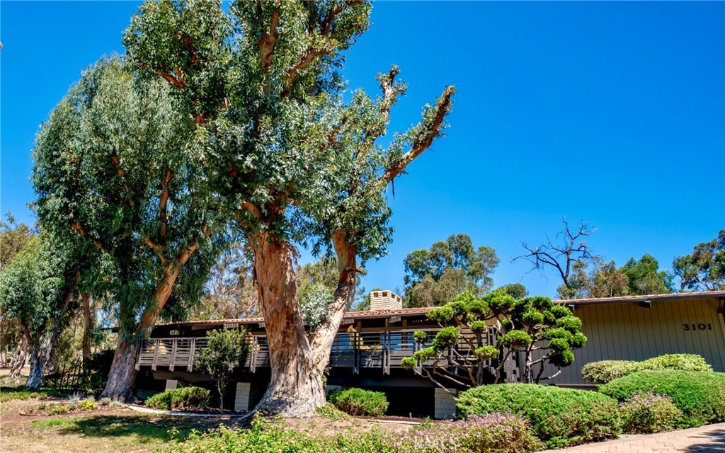 Photo of 3101 Paseo Del Campo, Palos Verdes Estates, CA 90274