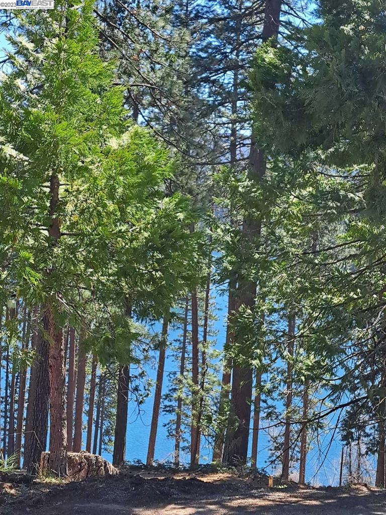 Land, Pollock Pines, California image 16