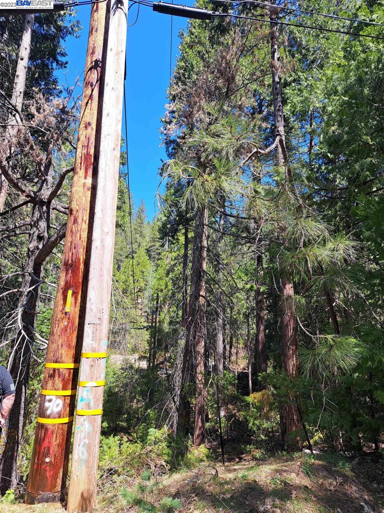 Land, Pollock Pines, California image 4