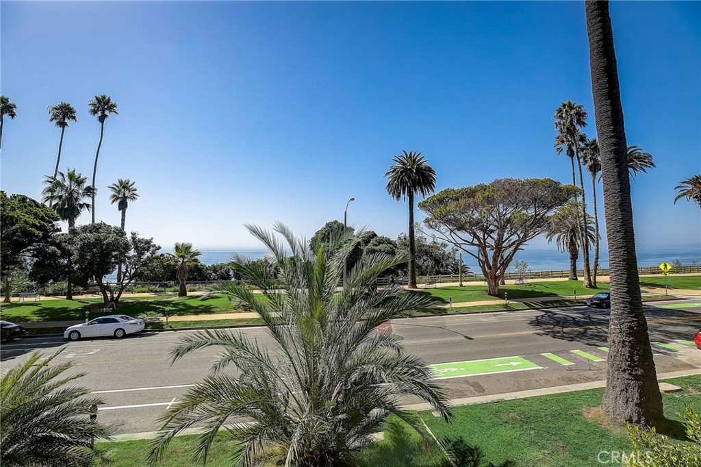 413 Ocean Avenue, Santa Monica, California image 4