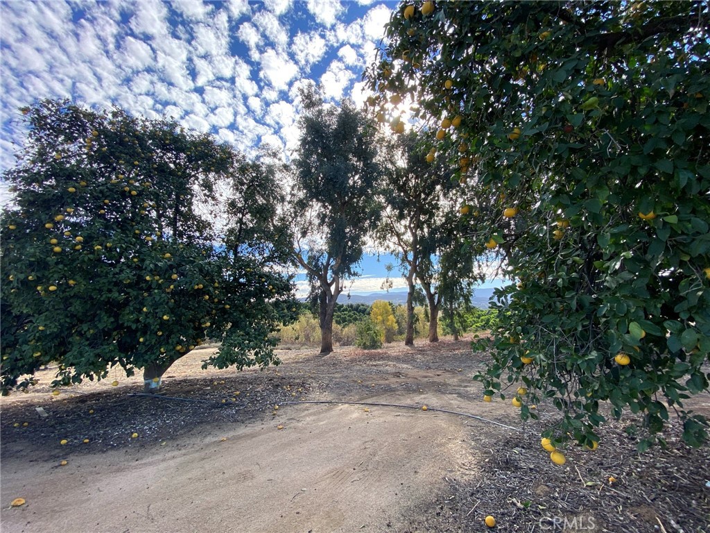 38311 Camino Sierra Road, Temecula, California image 14