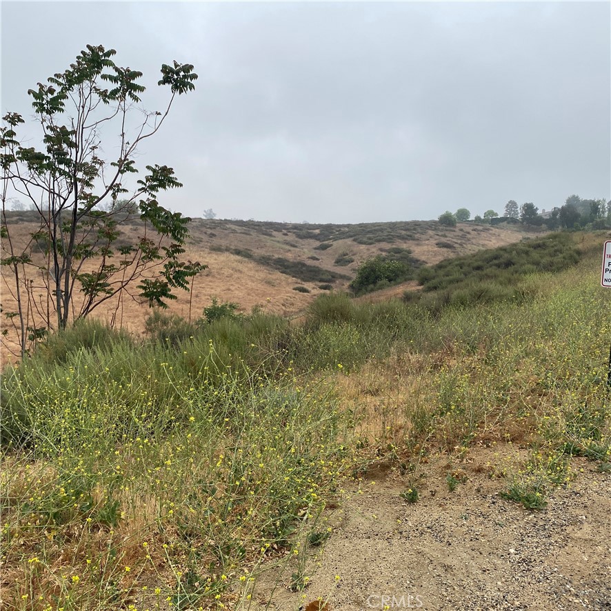 Photo of Panorama, Redlands, CA 92374