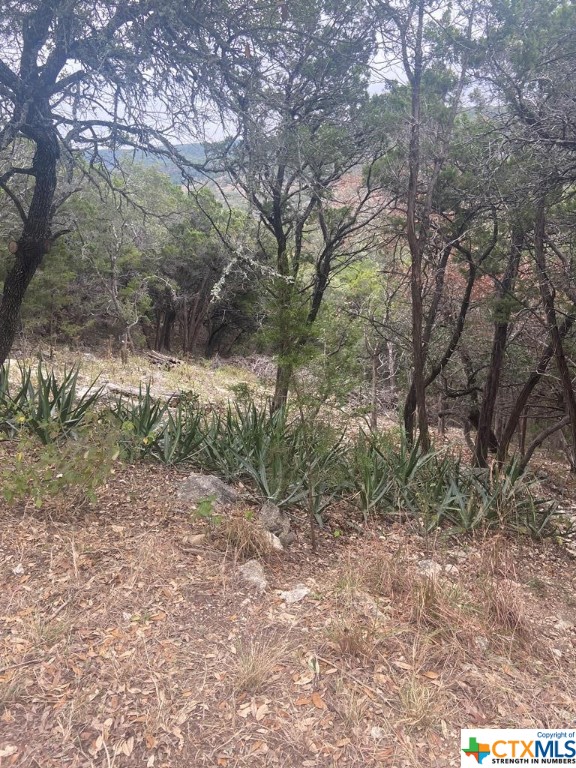 331 Wind Crest Drive, Canyon Lake, Texas 78133, ,Land,For Sale,Wind Crest,468006