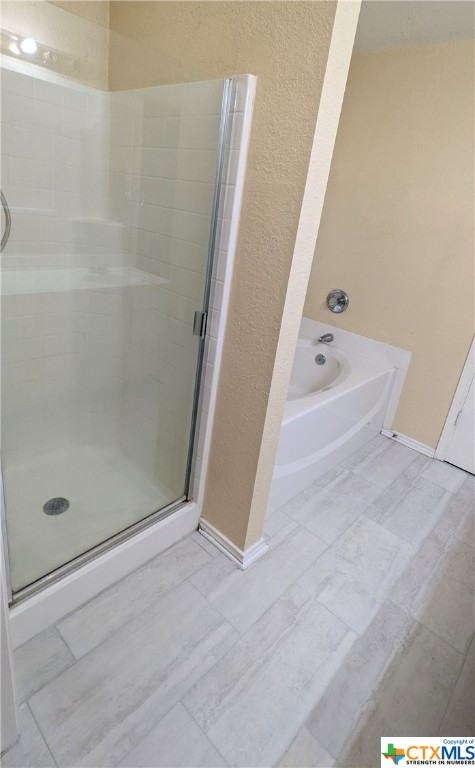 Main Bathroom separate shower and garden tub