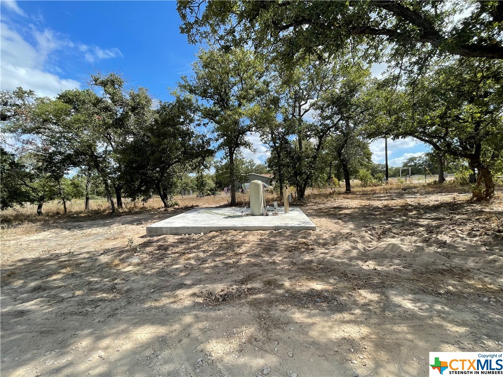 1060 Vivroux Ranch Road, Seguin, Texas image 5