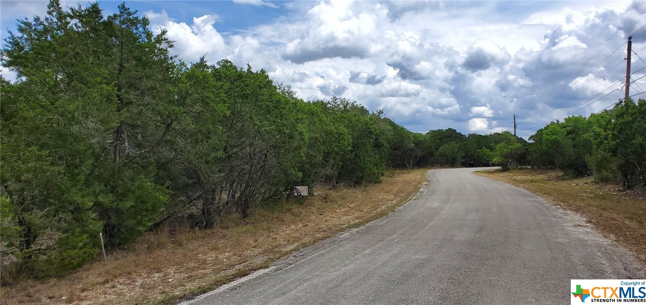 0000 North Park Road, Canyon Lake, Texas 78133, ,Land,For Sale,North Park,483674