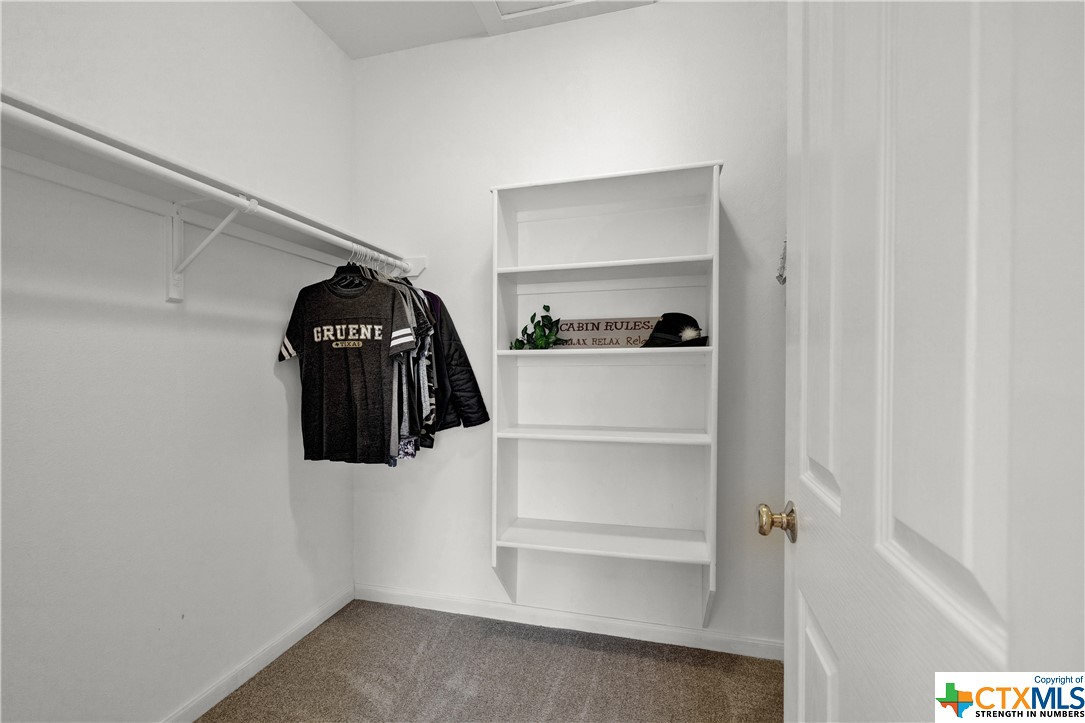 Walk-in closet with storage behind the door as well!