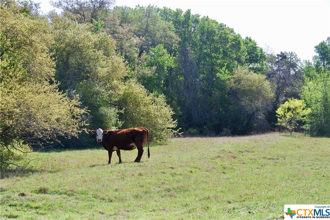 2104 County Rd 402, Flatonia, Texas image 30