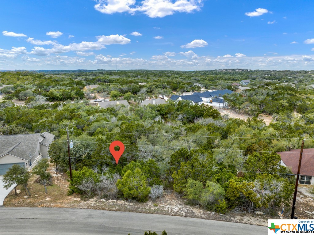 1471 Redwood Road, Fischer, Texas 78623, ,Land,For Sale,Redwood,498225