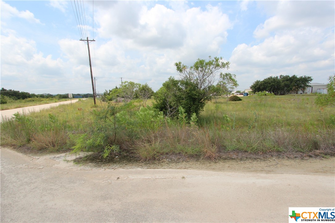Liberty Hill is BOOMING!! Great 4.491-acres lot just off Hwy 29 on Bevers Rd. The property is currently zoned AG and has water availability. Buyer to change zoning to commercial. No restrictions. High traffic count at Hwy 29 intersection (~20K/day)...great location for a storage facility, RV park, industrial, manufacturing, or even retail, strip center, medical, restaurant, etc. High school and new subdivision (Butler Farms) just west of this location! Come join the growth!