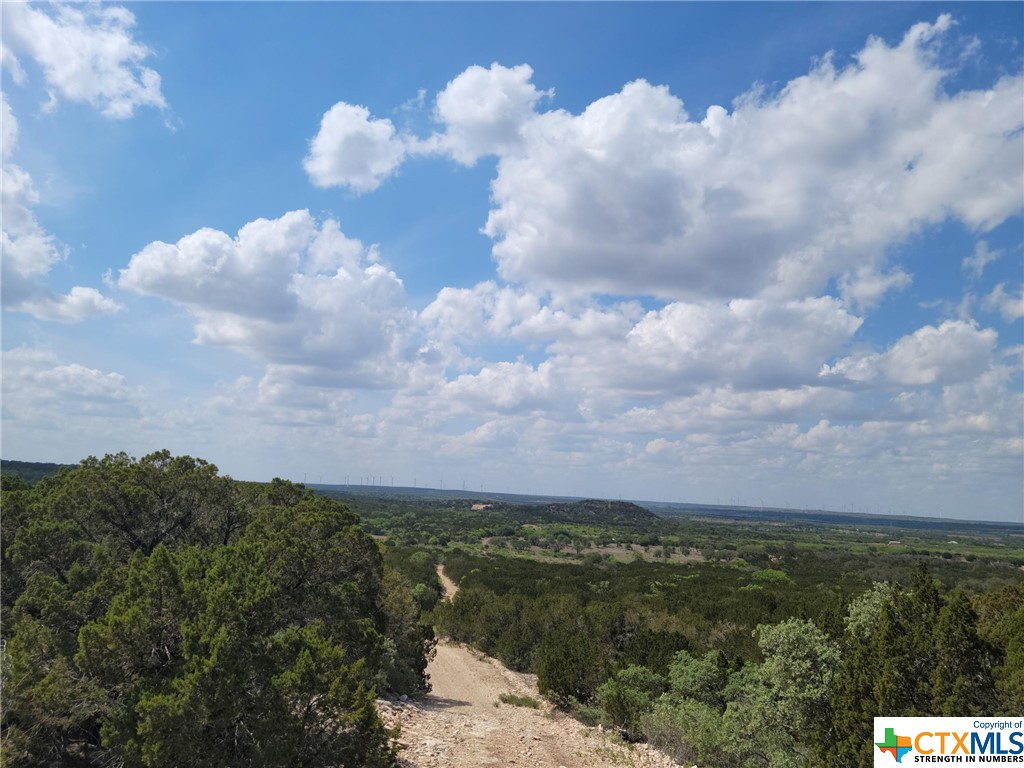 TBD County Road 290, Sweetwater, Texas image 8