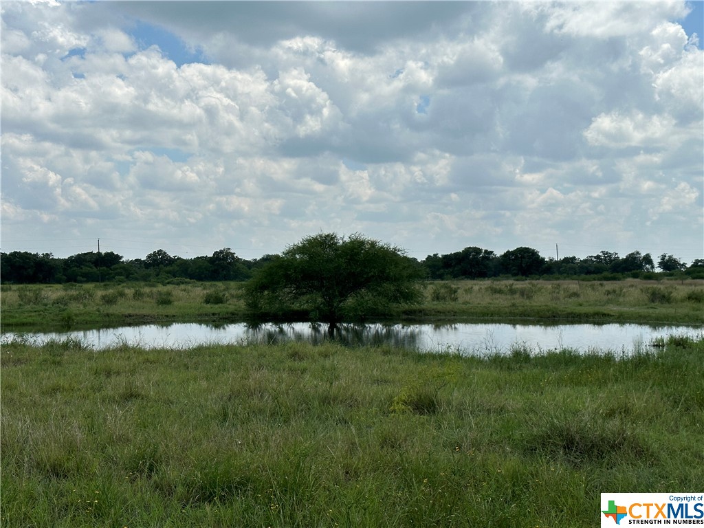 40 Acres new 5 strand barbed wire perimeter fencing with gated entrance, water well, 2 ponds, mature oaks with some brush. More acreage is available.