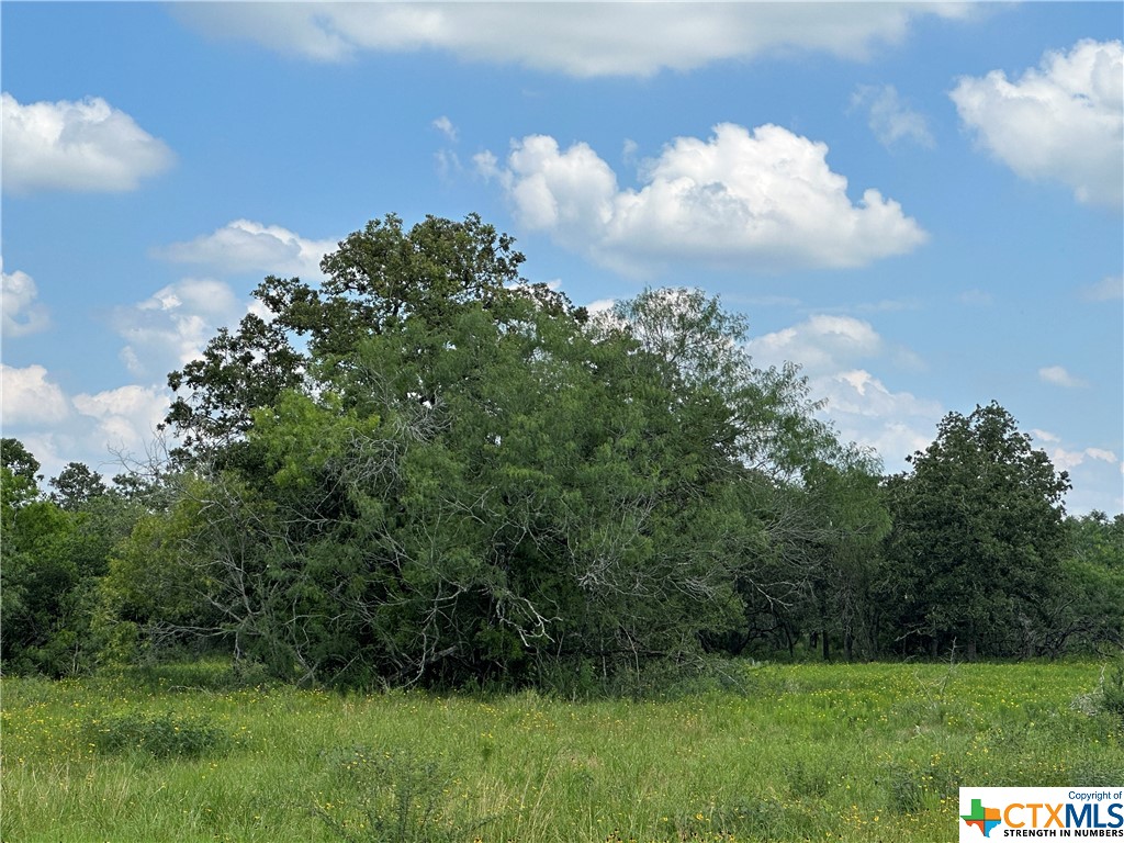 14 Acres new 5 strand barbed wire fencing on 3 sides with gated entrance, water well, mature oaks with some brush. More acreage is available.