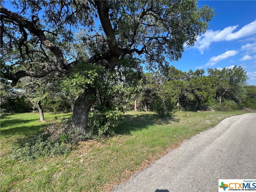 Beautiful, mostly level, park-like .2066 acre lot with mature trees in Canyon Springs resort. Lot is cleared of brush. Very reasonable restrictions. This property is waiting for your lake home.