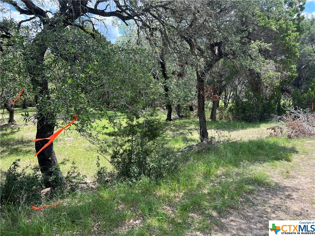 Beautiful, level, .2066 acre lot with mature trees in Canyon Springs resort.  Very reasonable restrictions. This property is cleared of brush and waiting for your lake home.