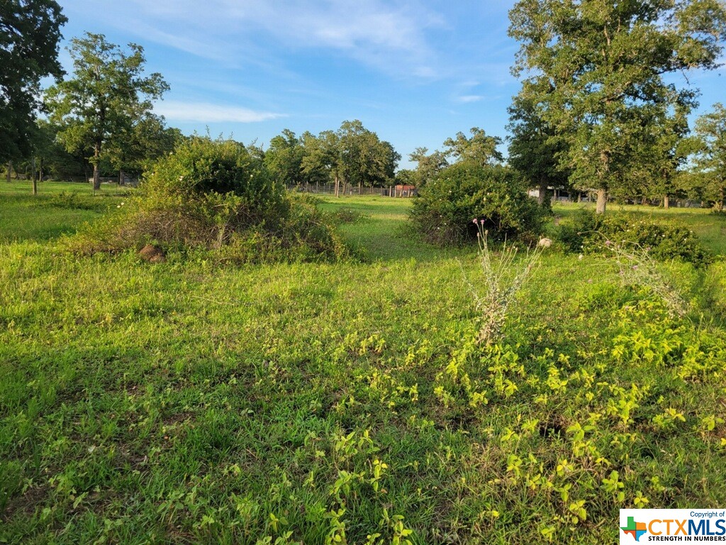 Looking for a great opportunity to own your piece of Texas? This 14.86 acre property is tucked away at the end of Blacksmith Farm Lane and is perfect for building your new home. It could be a site-built or a manufactured home. There are just the right amount mature hardwood trees to provide shade for your animals or your new homesite. There is a horse barn so bring your small farm animals to keep the existing Ag exemption, this property is perfect for horses as well! Owner will finance with 20% down, 9% interest fixed rate. Come see this beautiful property which offers quiet country living.