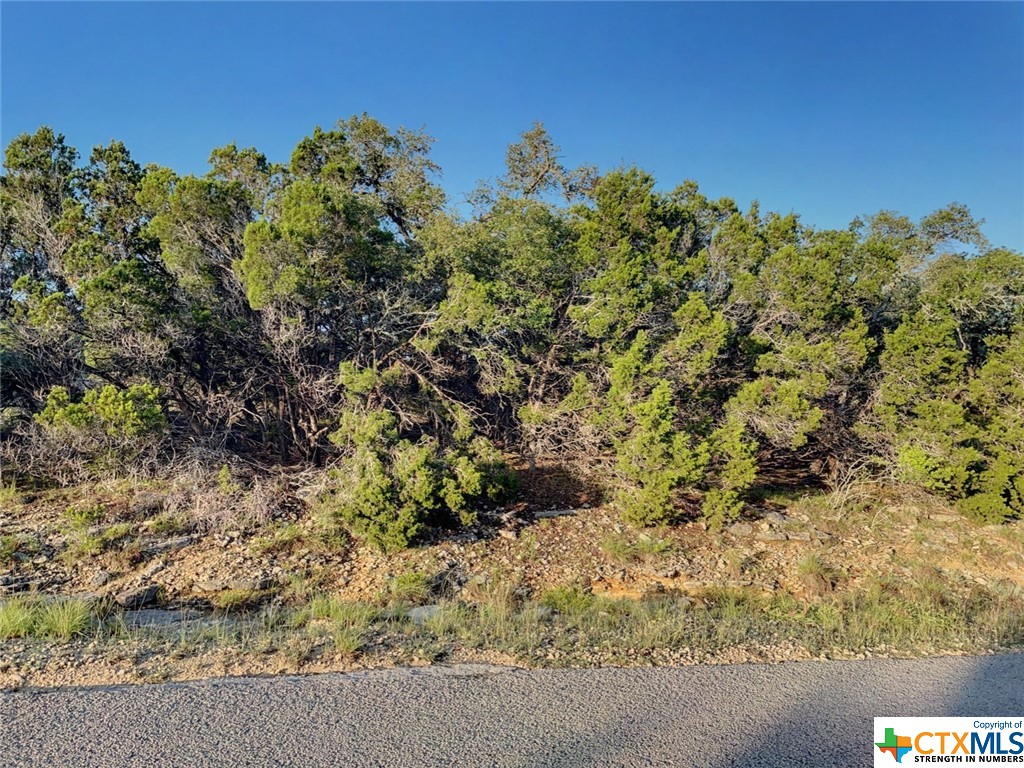Beautiful half acre lot with views! Many mature trees throughout the property and multiple level spots. Conveniently located less than 10 minutes to Canyon Lake, 15 minutes to Blanco, 20 minutes to Wimberley, 30 minutes to San Marcos or New Braunfels, and 1 hour from Austin or San Antonio. Come take a look and decide where to build your next home!