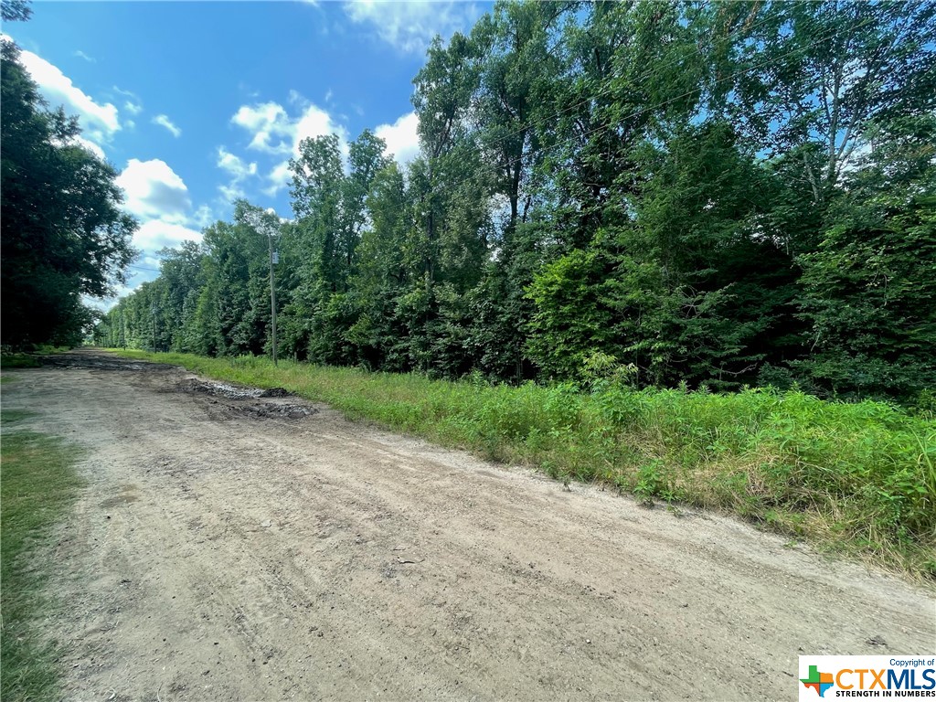 Looking for an unrestricted piece of Texas to call yours? These 3 lots totaling 18,750 sqft are what you need! 
This beautiful, wooded lot is ready for you to build whatever you would like, bring an RV, a mobile home, a container home, the possibilities are endless! Quiet, country living that's just 2 miles from Lake Livingston!