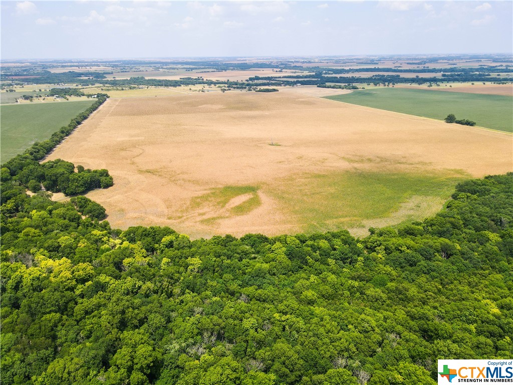 Check out this amazing farmland conveniently located on State Highway 53 within minutes of Loop 363! A little over 200 acres allows for endless possibilities, from residential development to a new home site! Overhead powerlines located along the property with waterlines along Hwy 53. The wooded area on the back of the property has a home that can be torn down or possibly even renovated, with a well onsite in an unknown condition. The property is currently being used for crop production, no leases