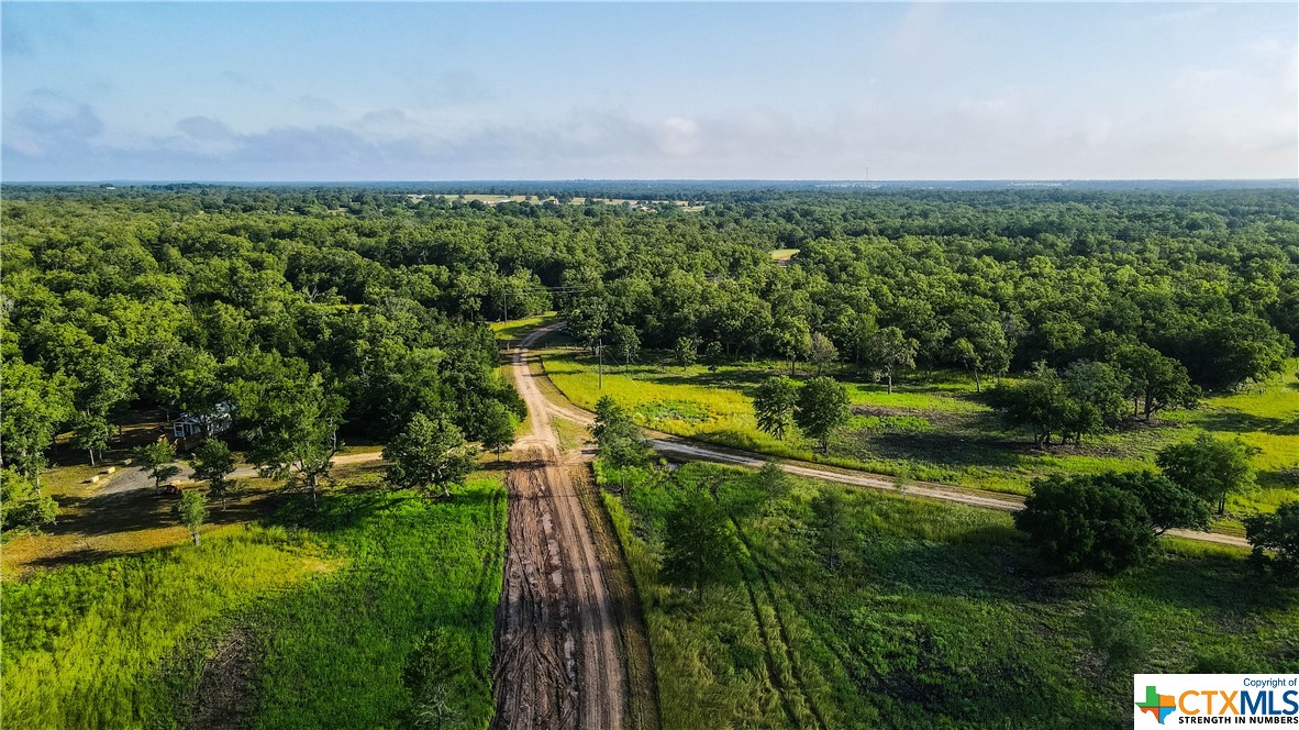 11414 County Road 162 (+/-221 Acres), Somerville, Texas image 2