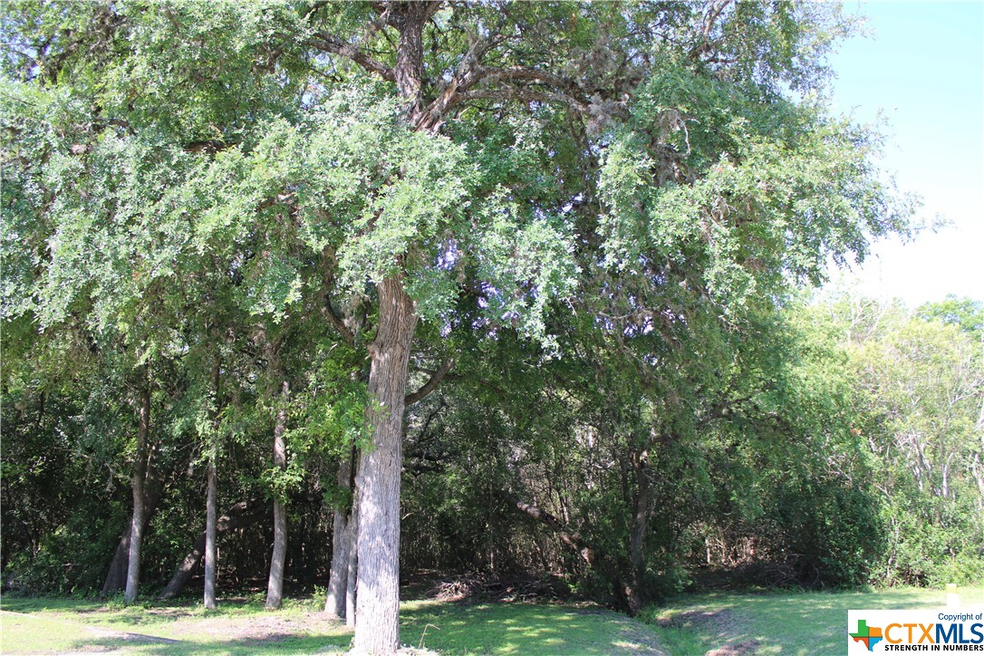 Beautiful residential .61 acre lot with mature trees and a seasonal creek along the back! Don't miss this rare opportunity to build your dream home with a large yard and room for the kids and dogs to explore! Oak Village North subdivision is tucked away off HWY 123 in Seguin, with a short drive to IH-10, New Braunfels or San Marcos!