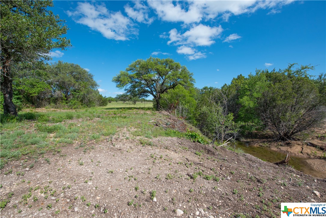 TBD County Road 1120 (+/- 95 Acres), Meridian, Texas image 1